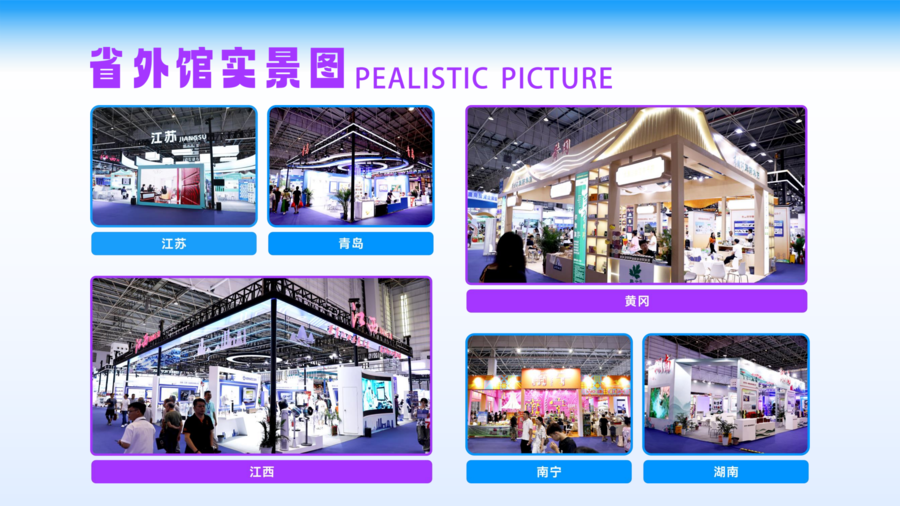 2026第十七届东莞台博会招展路演（0528）(1)_07.png