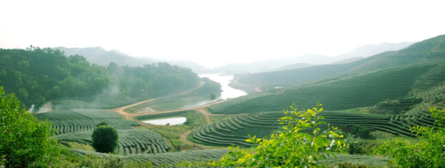 图为五辰湖主要园区