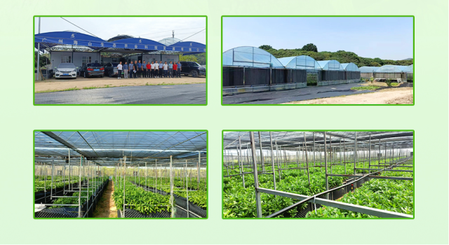 无  通讯员 无 供图